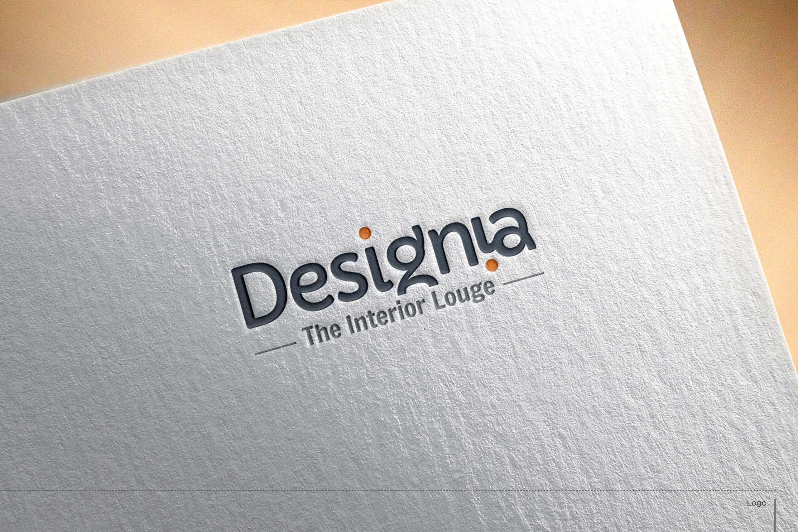 Desiginia Logo Presentation 02