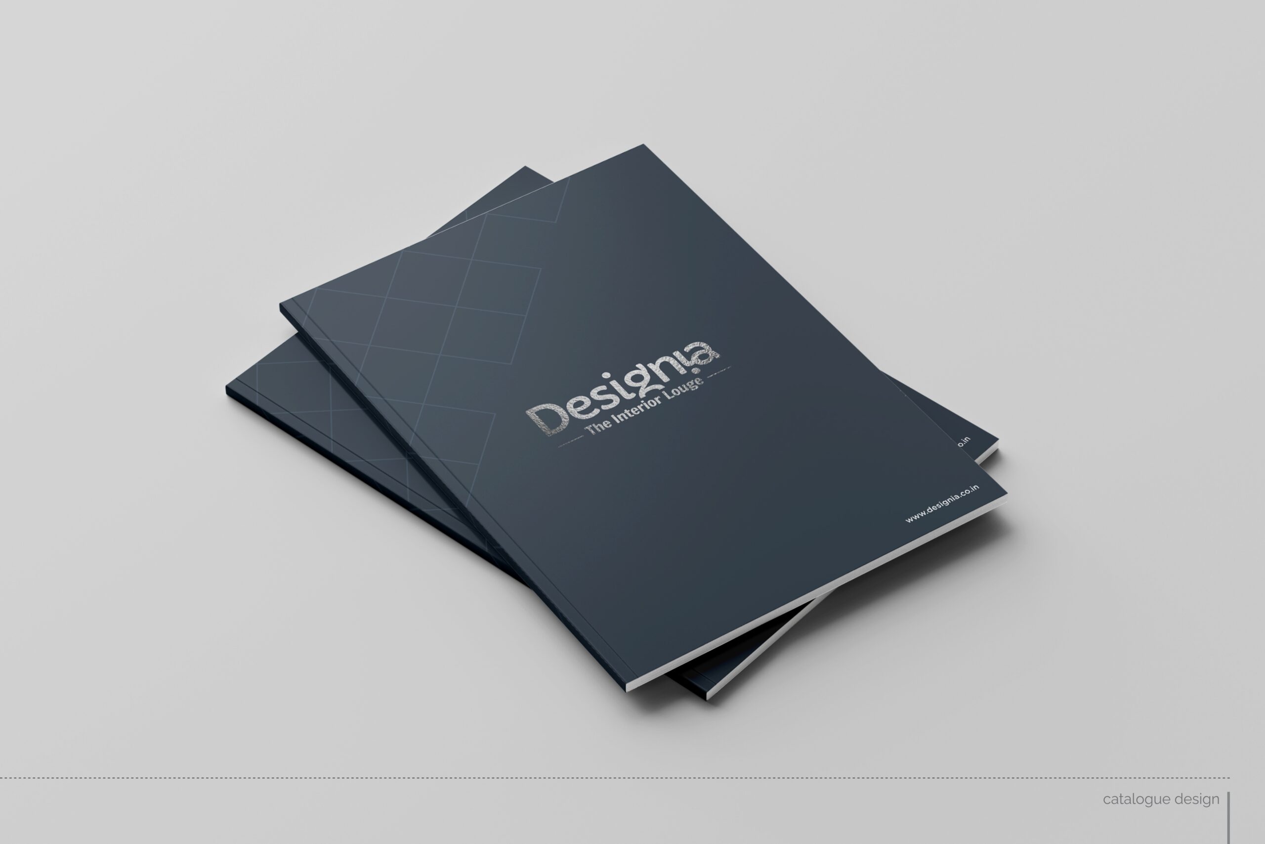 Desiginia Logo Presentation 04