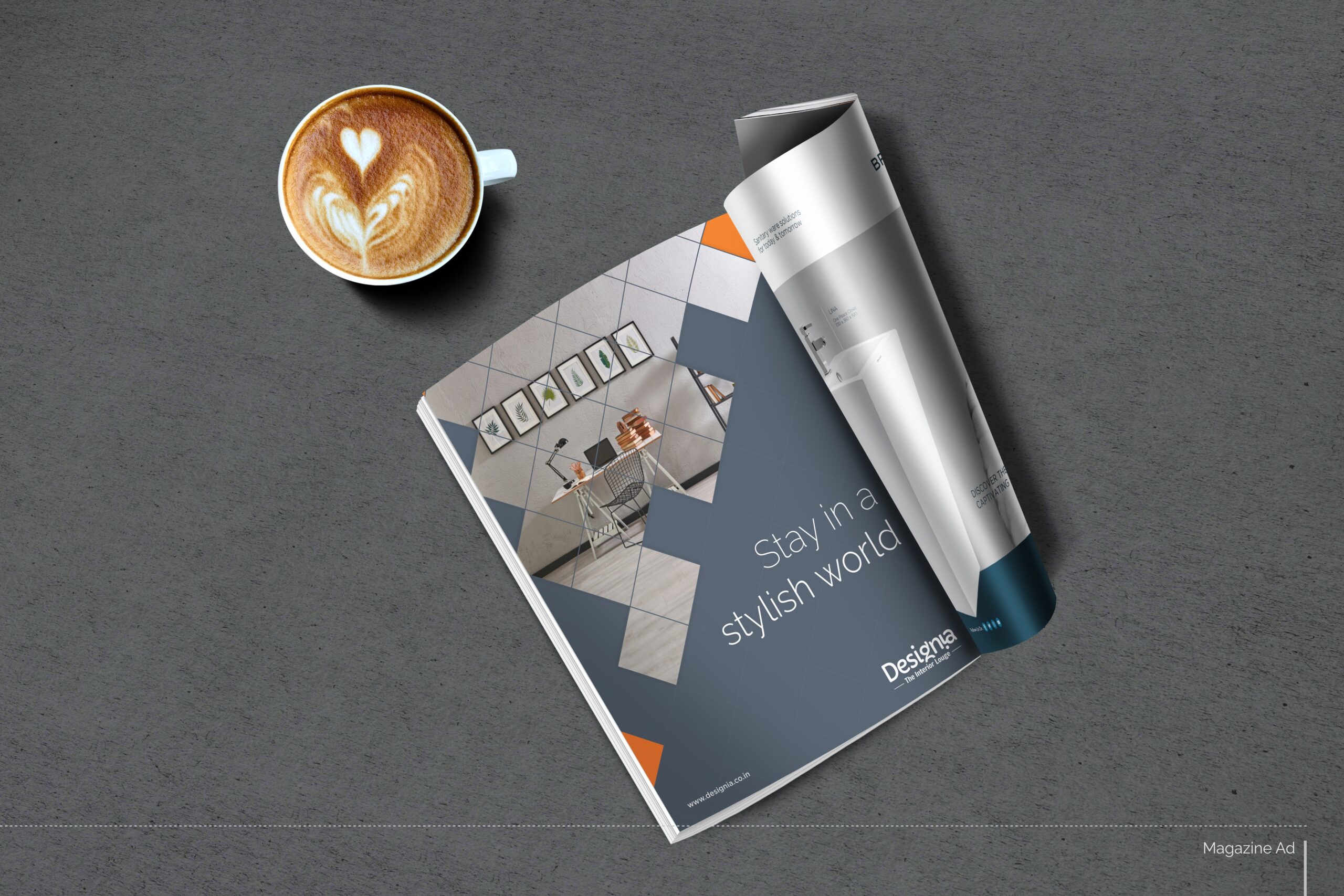 Desiginia Logo Presentation 05