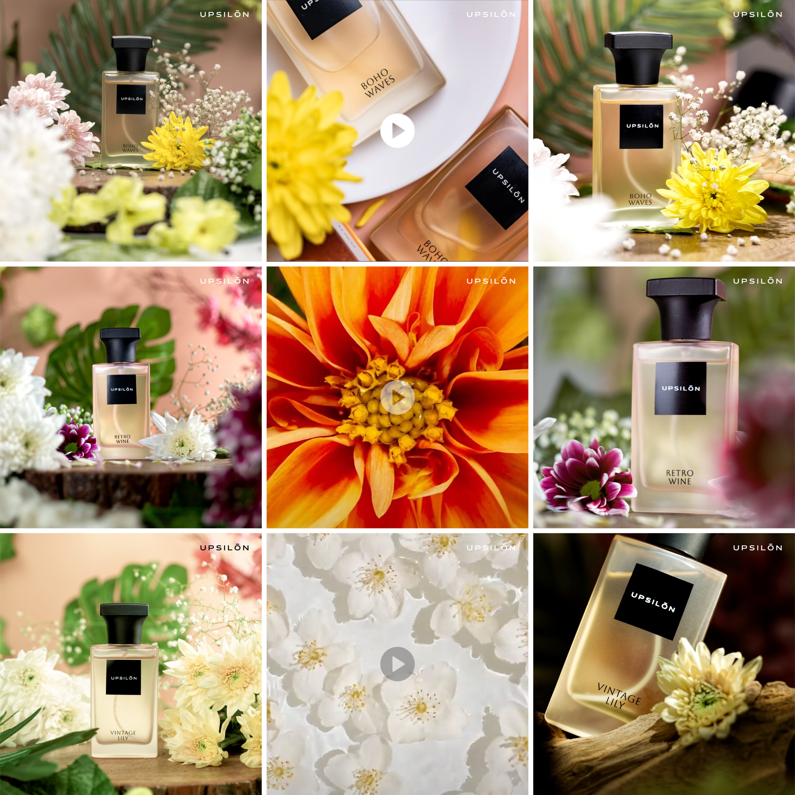 Upsilon_April_grid-16